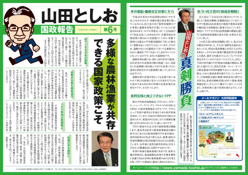 山田としお国政報告 第6号<表>