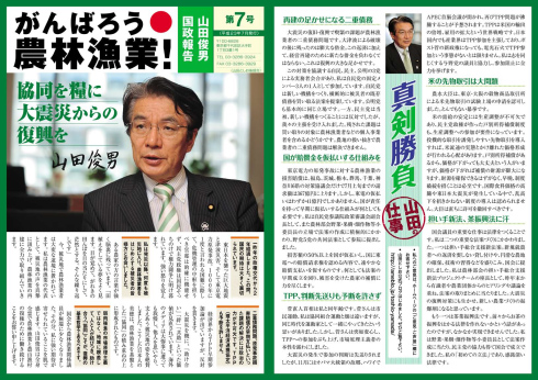 山田としお国政報告 第7号<表>